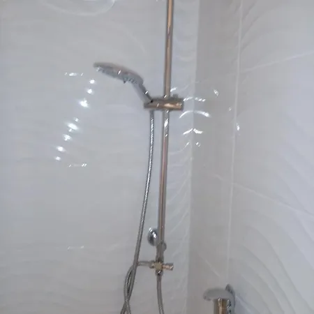 Le Petit Saint Bernard Дижон