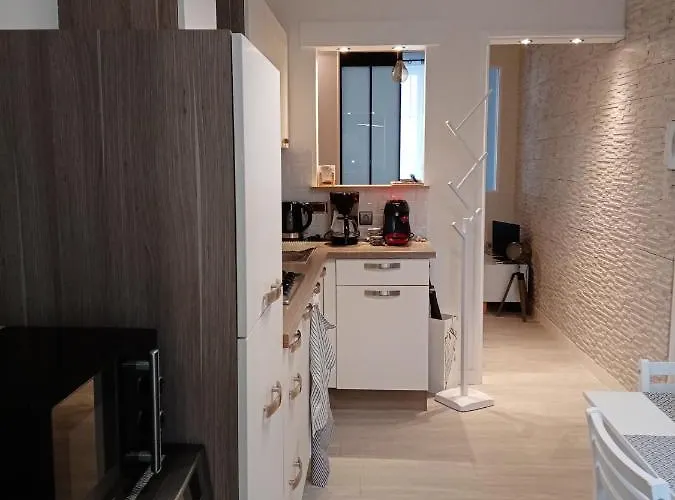 Le Petit Saint Bernard Apartman Dijon